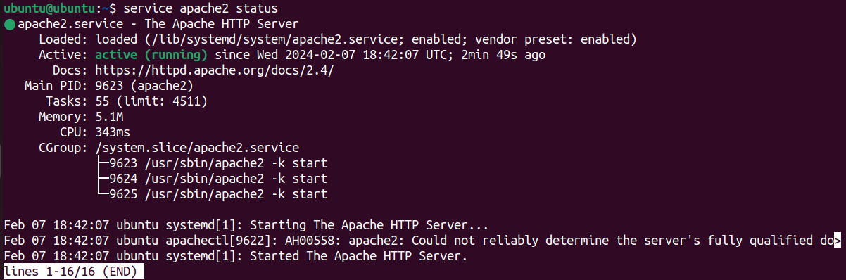 apache status