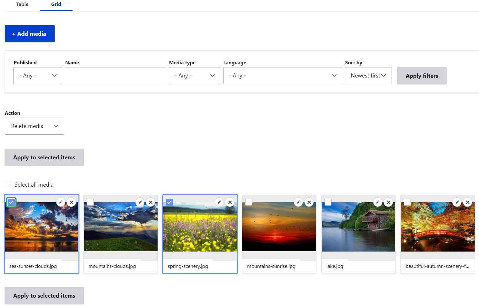 handling-the-assets-in-media-library